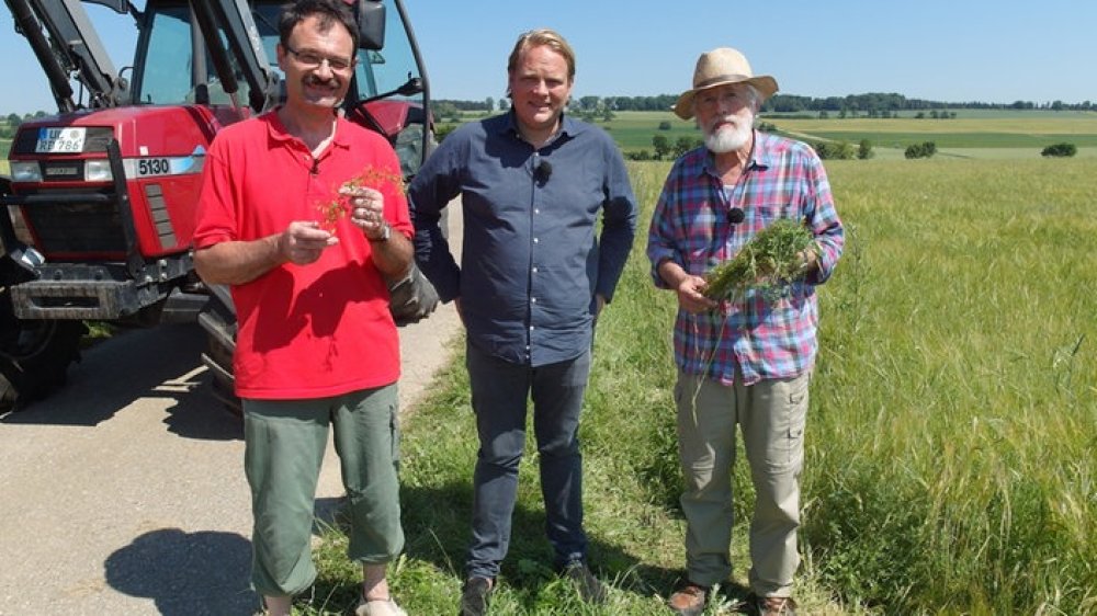 Woldemar Mammel mit Späths Alb-Linsen Woldemar Mammel mit Späths Alb-Linsen